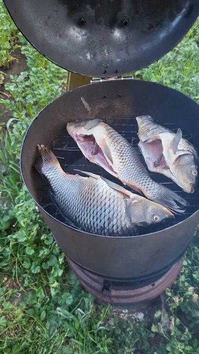 Карп горячего копчения ищет нового хозяина