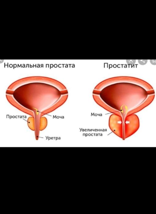 Әйел жалғыз секс