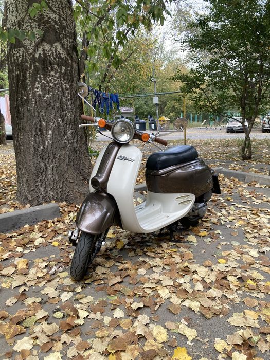 Реквизит для фото и видео съемок