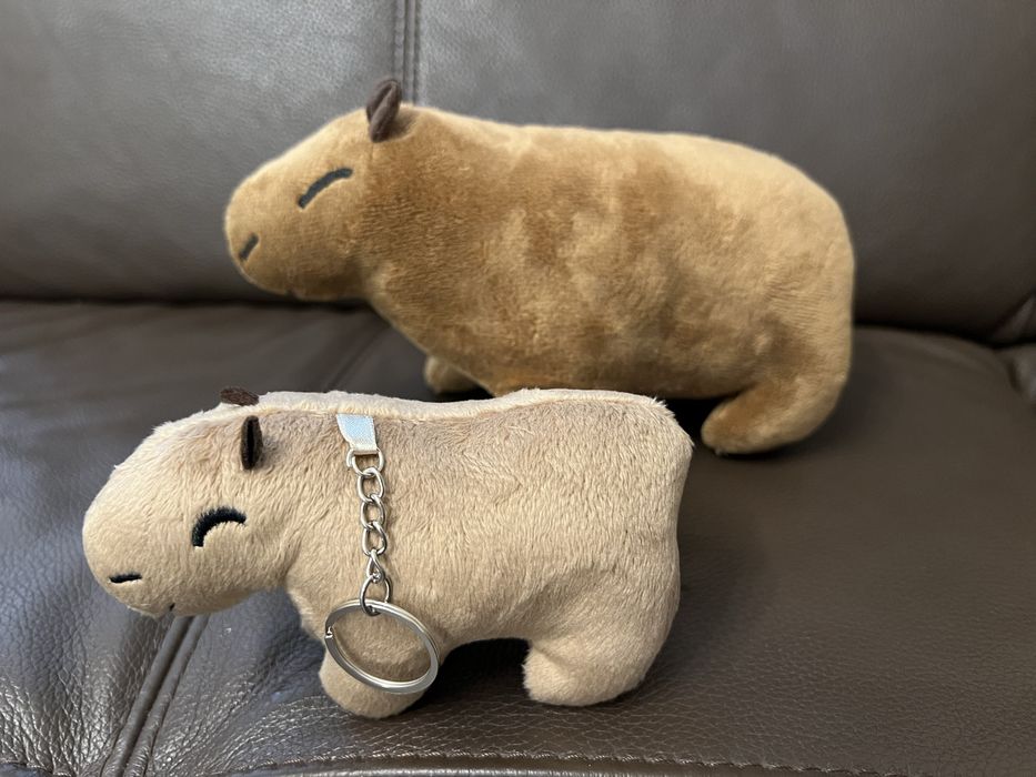 Плюшки - капибара, коте