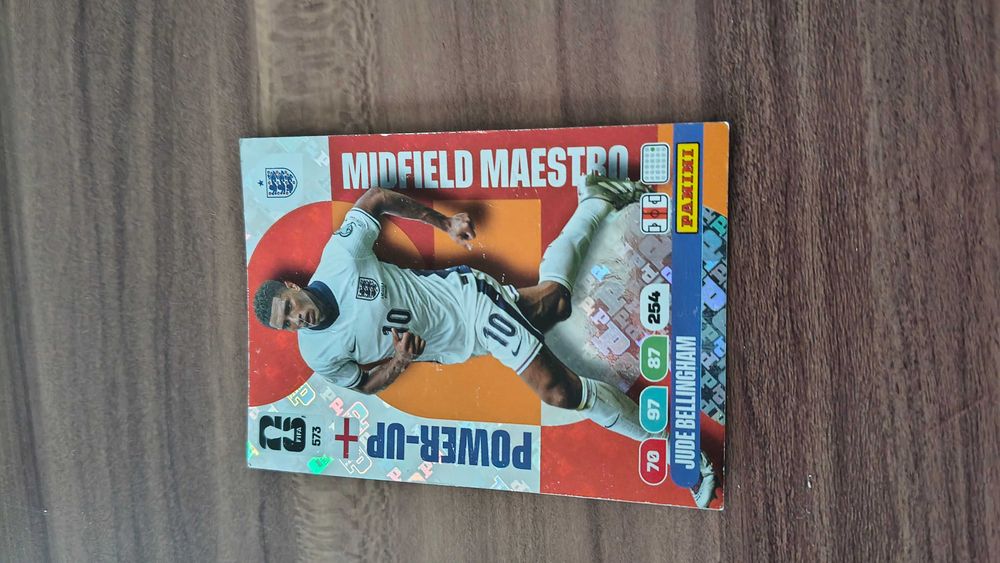 Cartonase Panini WC 26