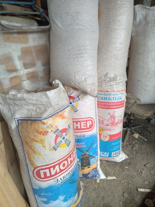 Струшки сухие из сосны