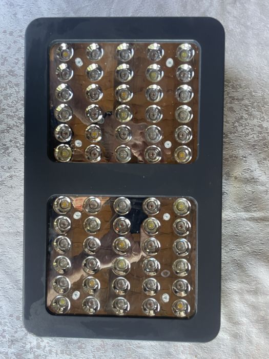 Лед Фито Лампи за бърз растеж Growing Light