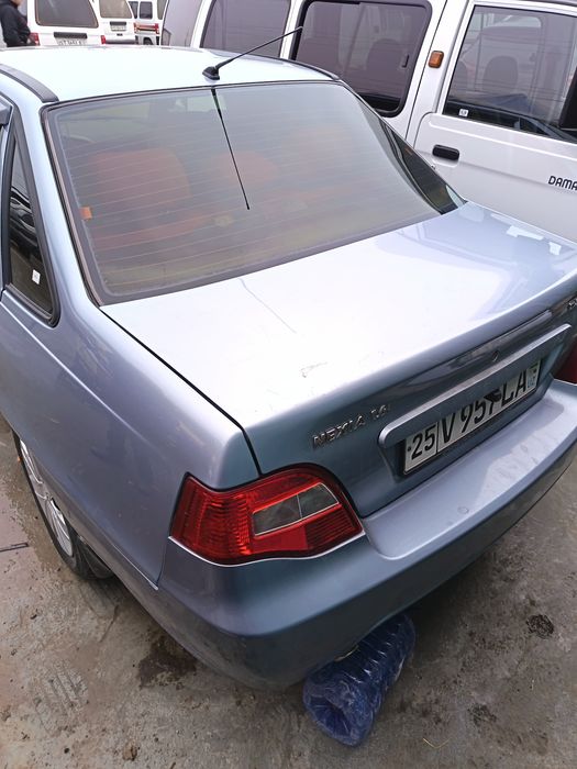 Delf in svet Akar yili yaxshi kobilt busa ustida gaplashamiz