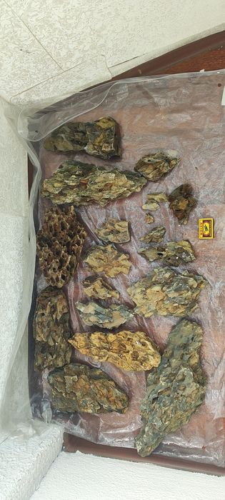 Драконий камень для аквариума