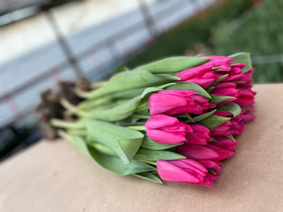 Цветы доставка букетов