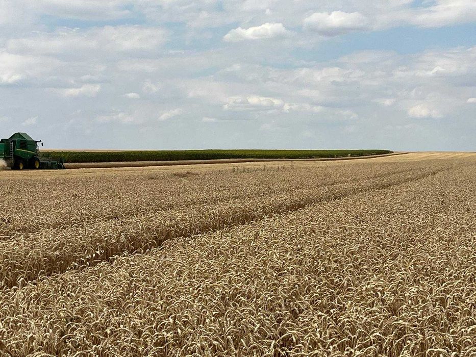 Teren agricol 6 hectare la canal de irigatii functional