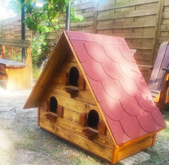 Къща за гълъби, птици