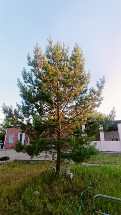 Продам дачу в районе Ахмирово