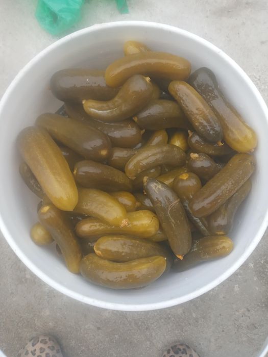 Tuzlangan bodring sotiladi