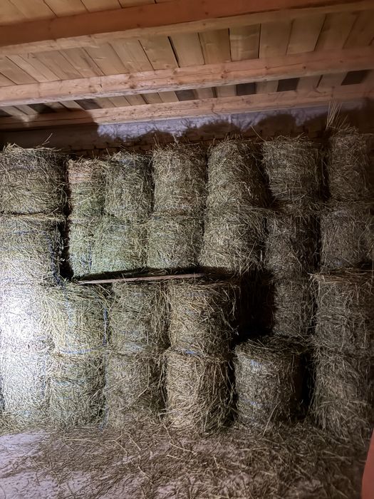 Vand baloti de lucerna