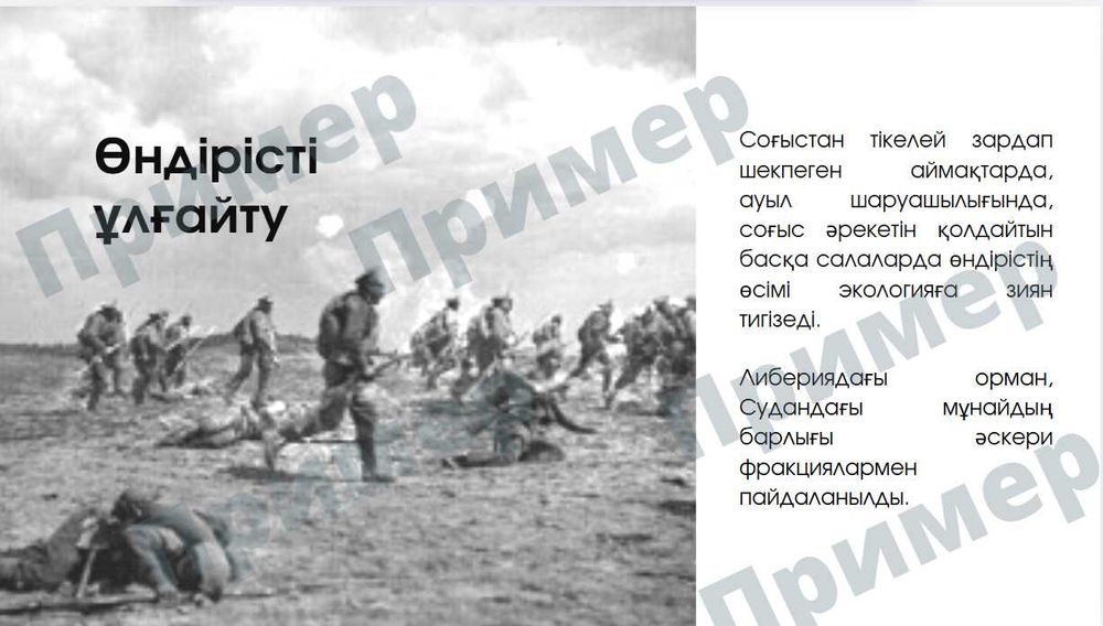 Презентации, пригласительные (шақыру), визитки