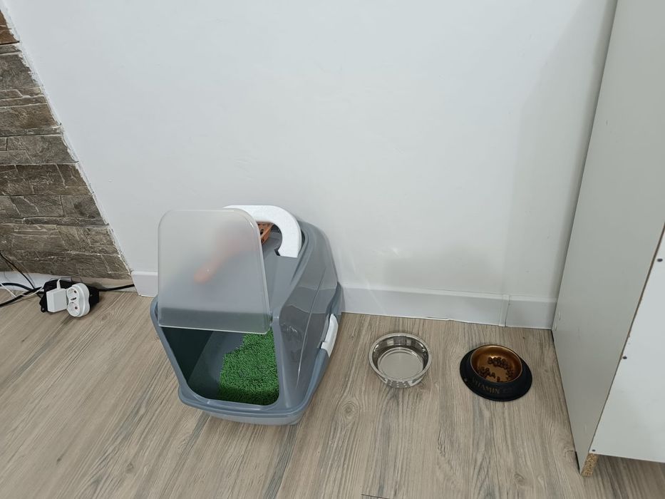 Отдам Котенка в добрые руки!!!