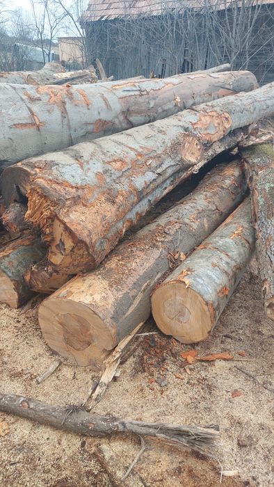 Lemn de foc esență tare sau diferite esențe cluj