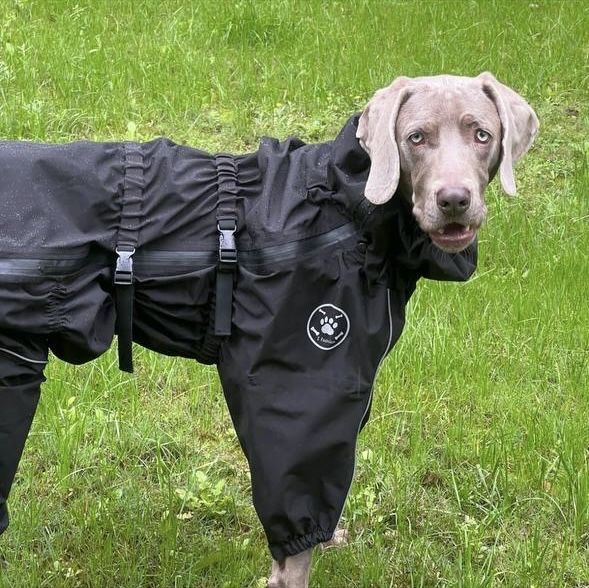 Комбинезон для собаки S НОВЫЙ