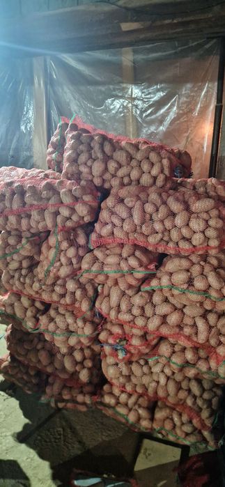 Cartofi consum alb și rosu