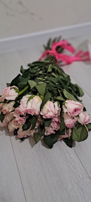 Цветы, гүлдер розы