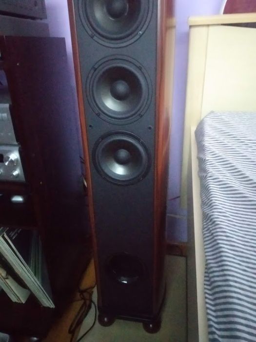 Акустика swans diva