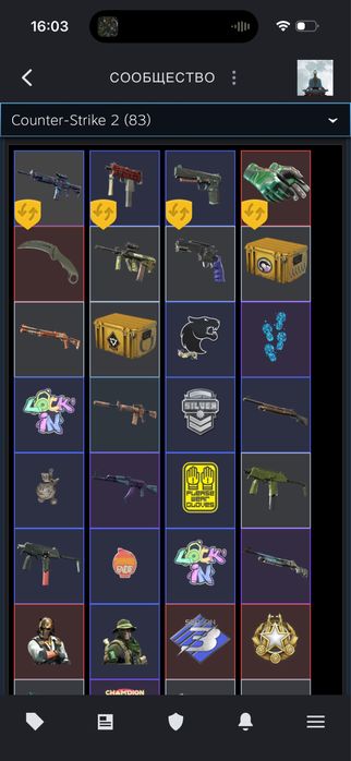 CS 2 с инвентарем