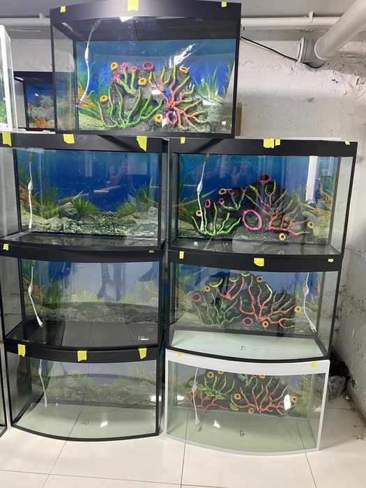 Akvarium kamplekt Avalniy