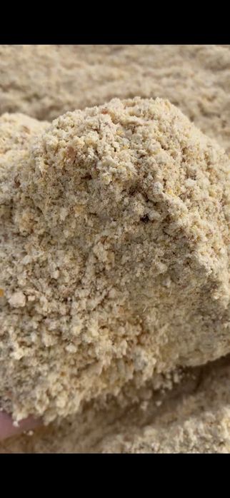 Porumb Boabe Vrac si Malai din Porumb Boabe