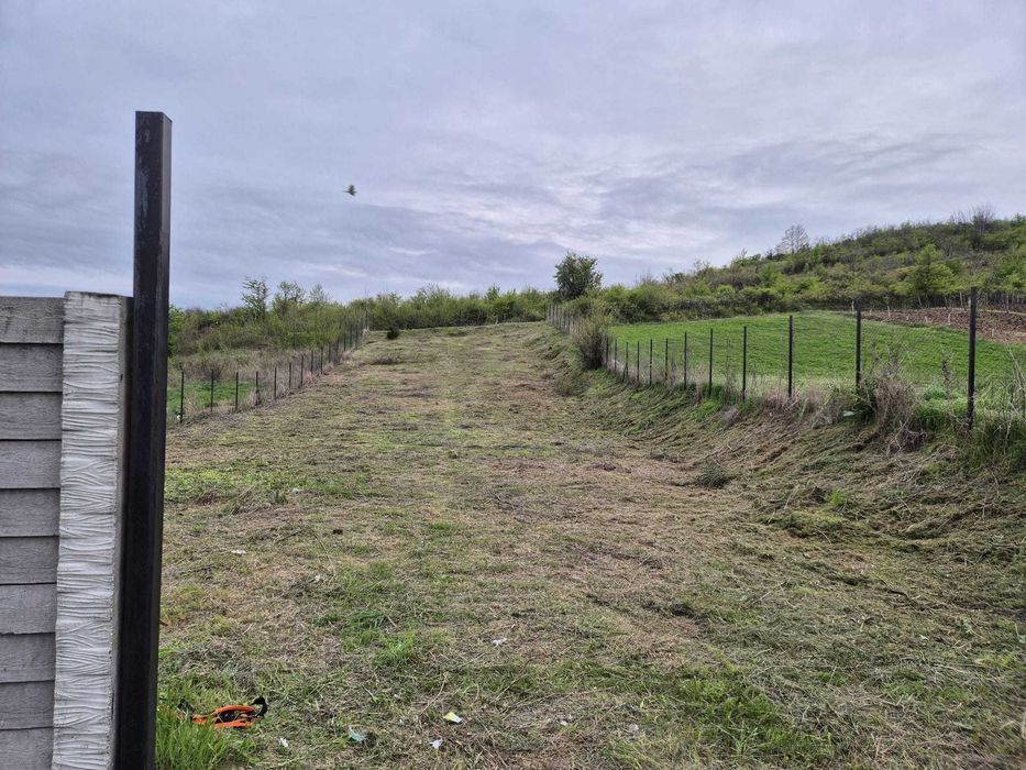 Teren intravilan 979 mp Podari – Livezi Dolj