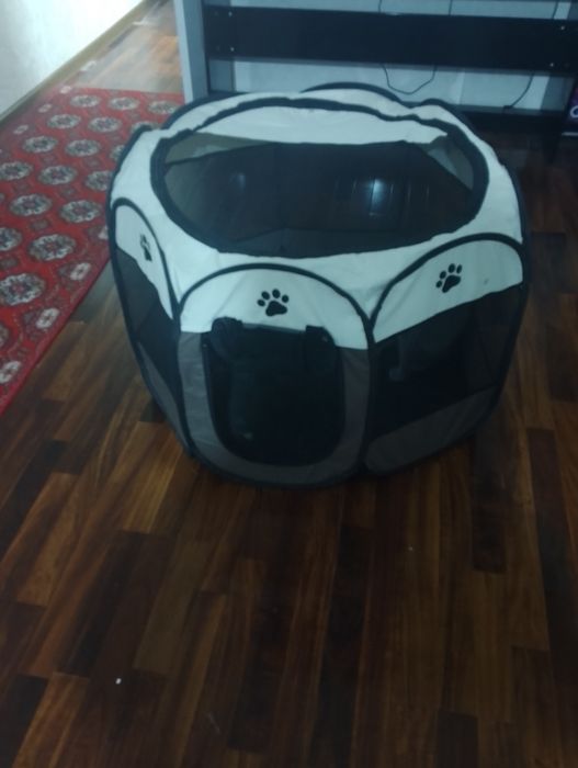 Мушуклар она болалар учун