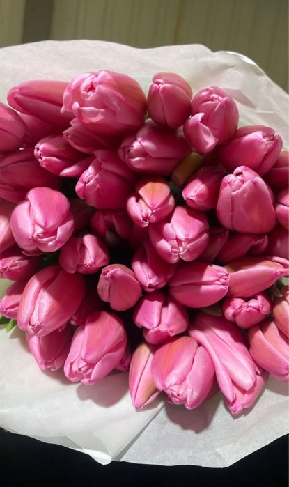 Тюльпаны по 380тг