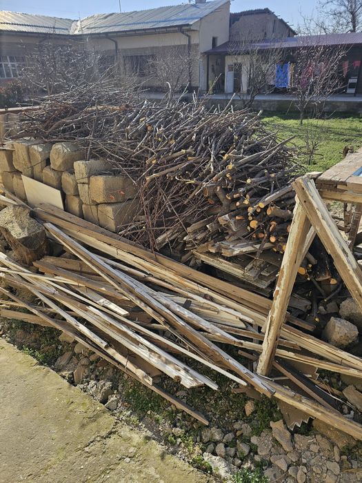 Дрова утин мевали дарахтники срочно сотилади