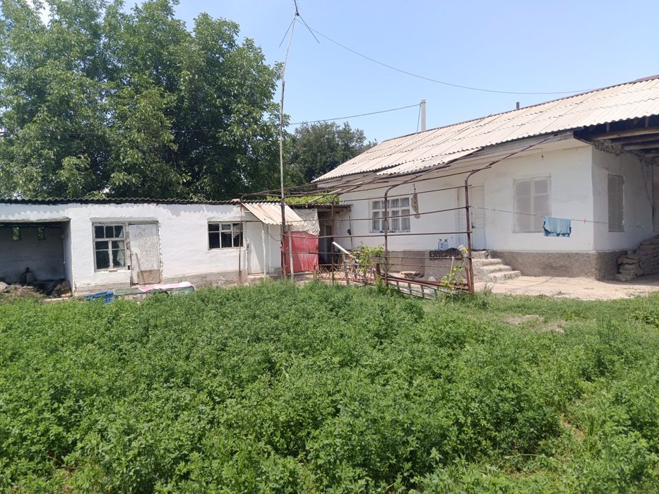 Toshkent dengizi atrofidan 30 soʻtxli kadastr xujatlariga ega xovli