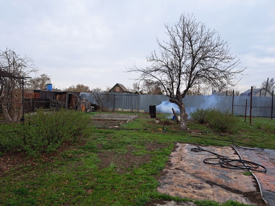 Продам дачу сад яблонька .