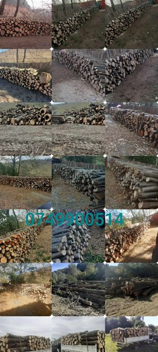 Lemne de foc la 350 lei metru esență tare cu transport gratuit