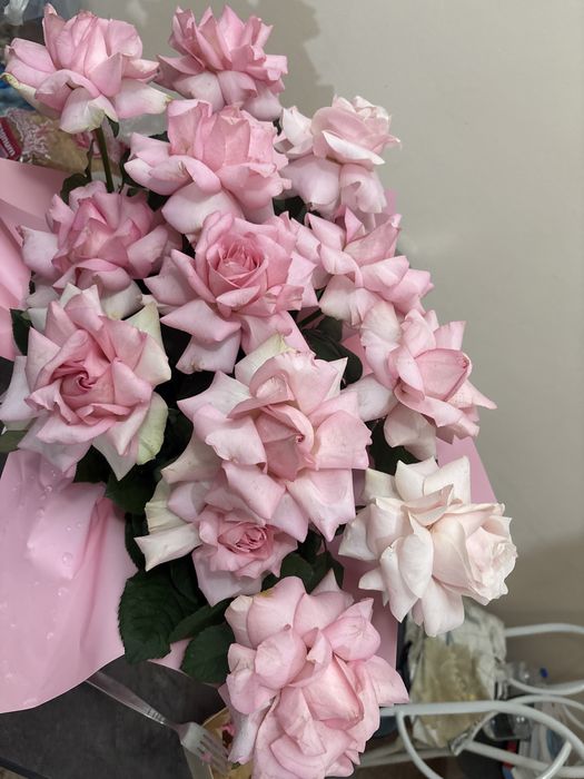 Цветы свежые  срочна  торг имееться