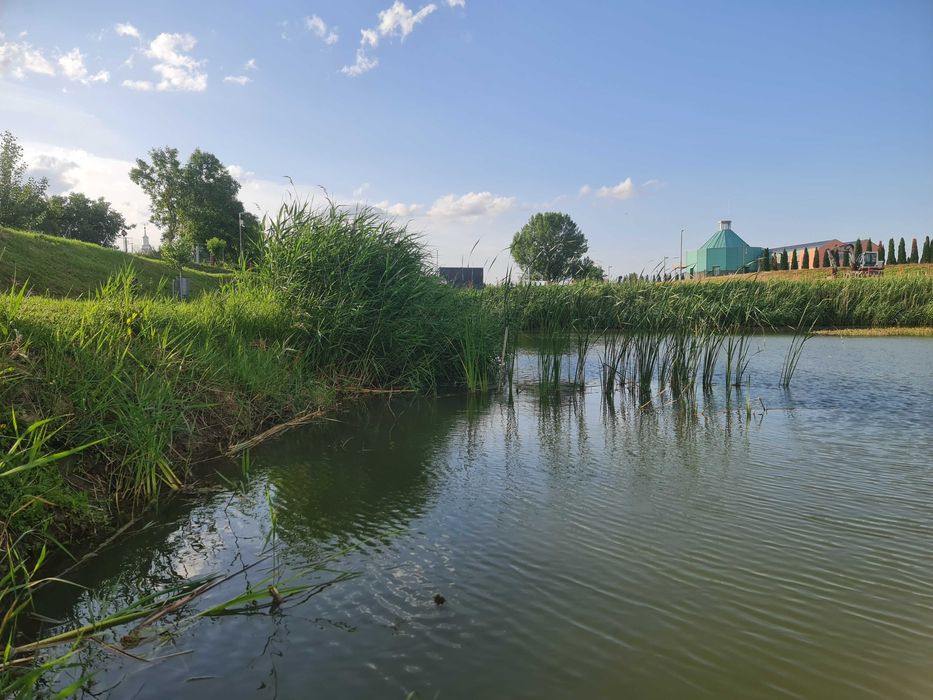 Lac de vânzare – Vetiș, județul Satu Mare
