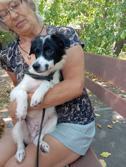 Мальчик Звоночек