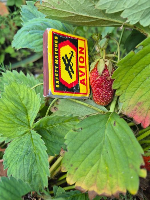 Дачный участок продам