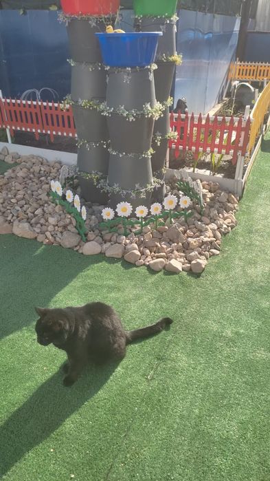 Щебень Отсев 10000