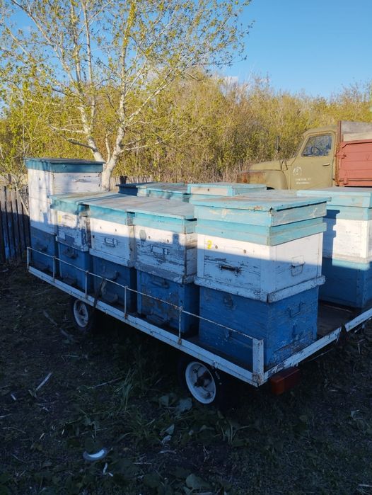Прицеп с ульями для легкового автомобиля