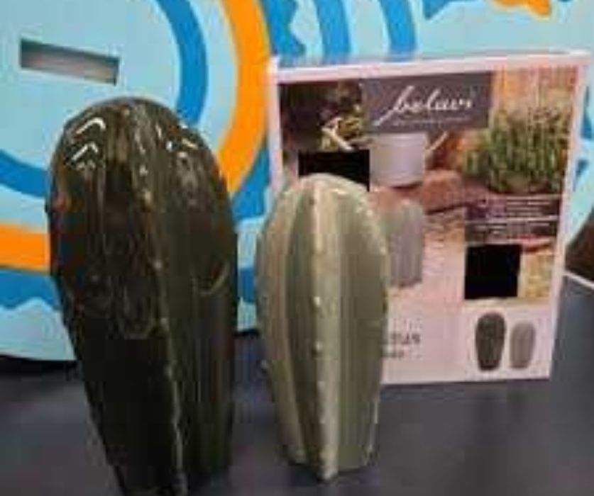 Ornament grădină/ cactusi