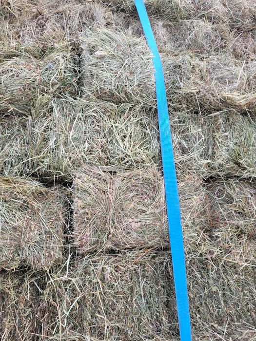 Vand baloti fan  coasa a 2