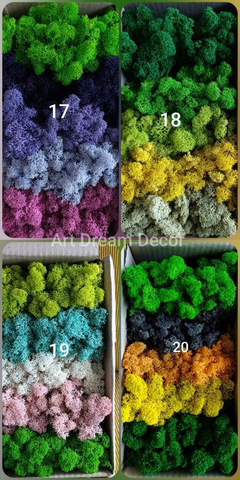 Скандинавски мъх за зелени стени, пана, декорации.