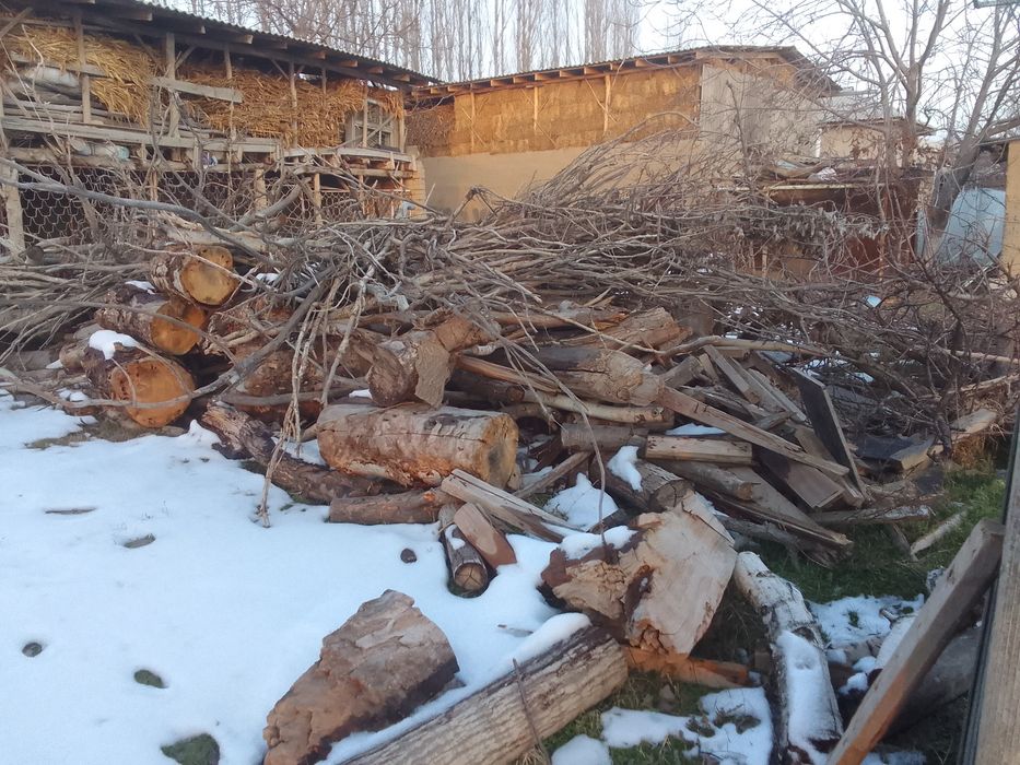 Otin sotiladi, келиштириб бераман