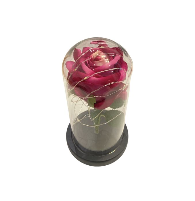 Trandafir in Cutie CADOU CU LED in CUPOLA de Sticla