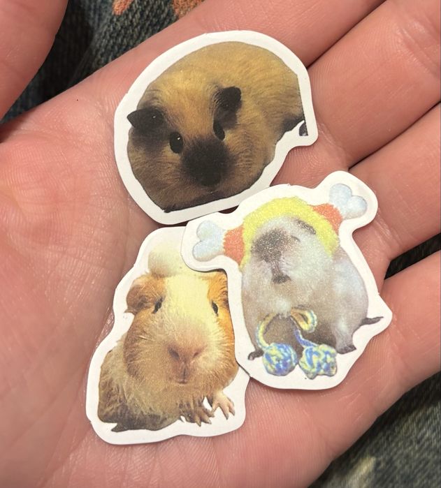 Клетка за морско свинче