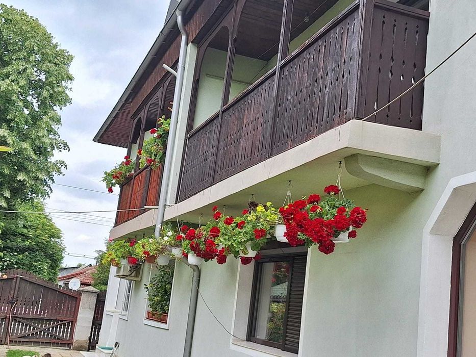 Vanzare imobil Alexandria