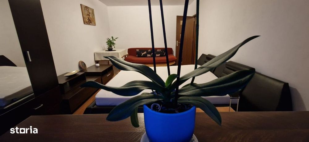 Apartament 1 Camera zona Iulius Mall Circumvalatiunii 300 euro
