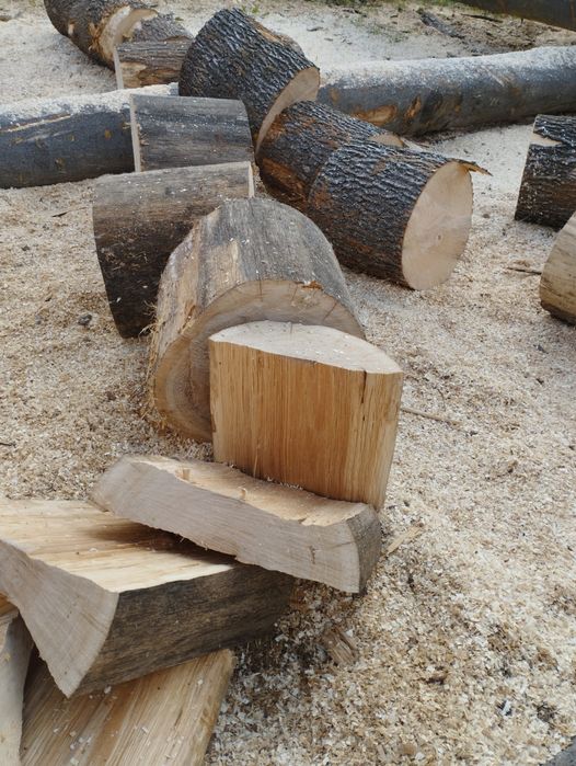 Lemne de foc fag capete uscate sau verzi 600lei tona sau la metru ster