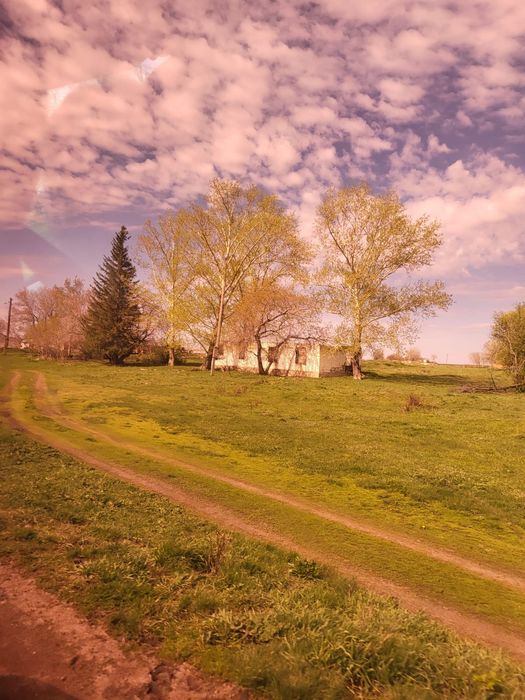 На постоянную основу 150000