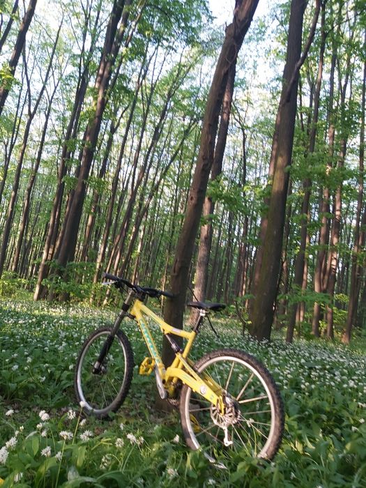 Bicicleta MTB All mountain Trail Enduro Cannondale Rush Lefty