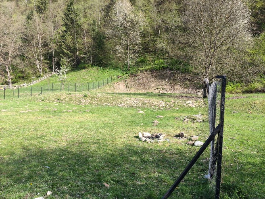 Teren Râu Sadului